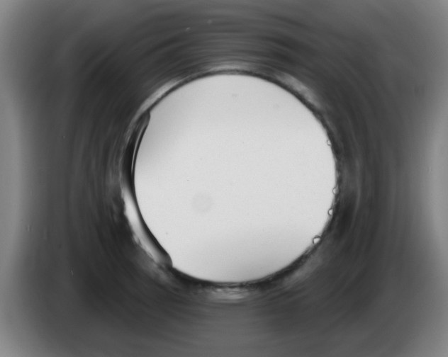 X0000086251137200704261931
