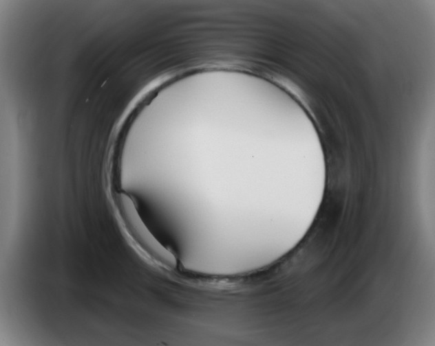 X0000086251139200704261931