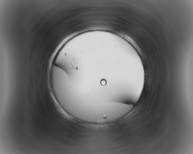 X0000086251140200704261931