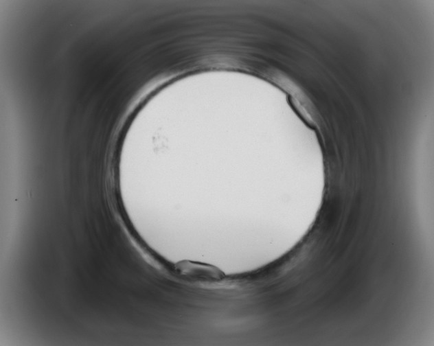 X0000086251141200704261931