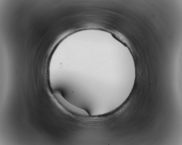 X0000086251142200704261931