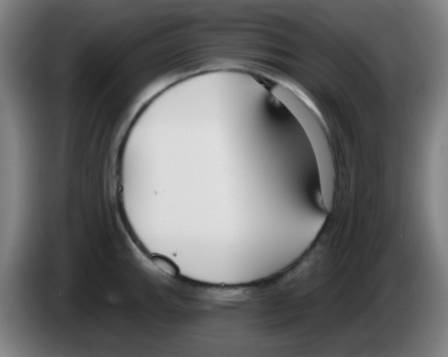 X0000086251143200704261931