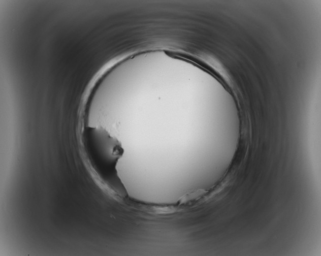 X0000086251144200704261931