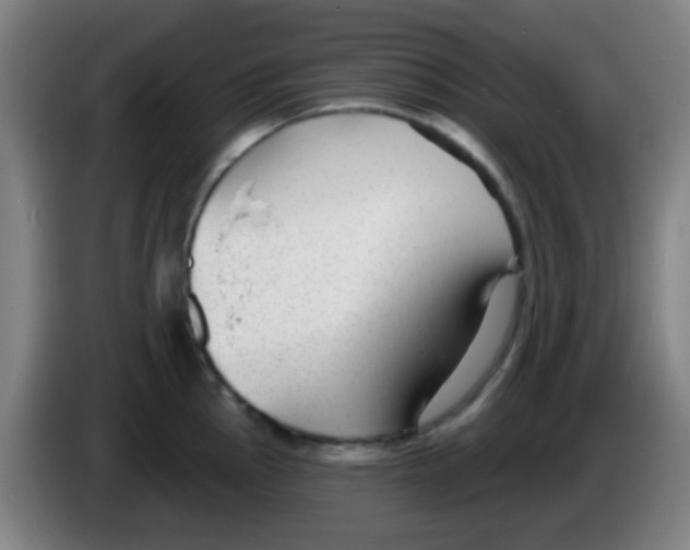 X0000086251145200704261931