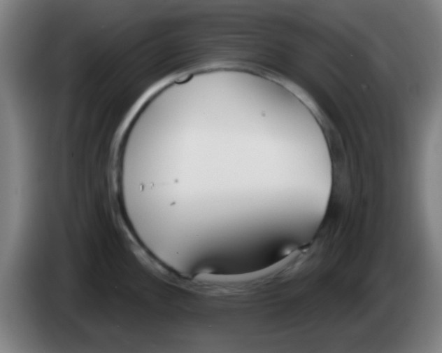X0000086251148200704261931