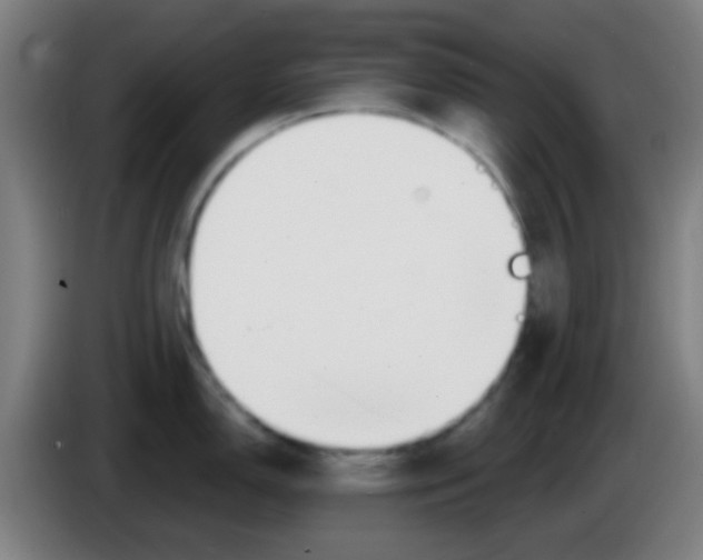 X0000086251150200704261931