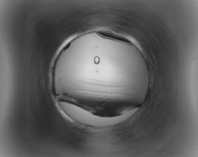 X0000086251151200704261931