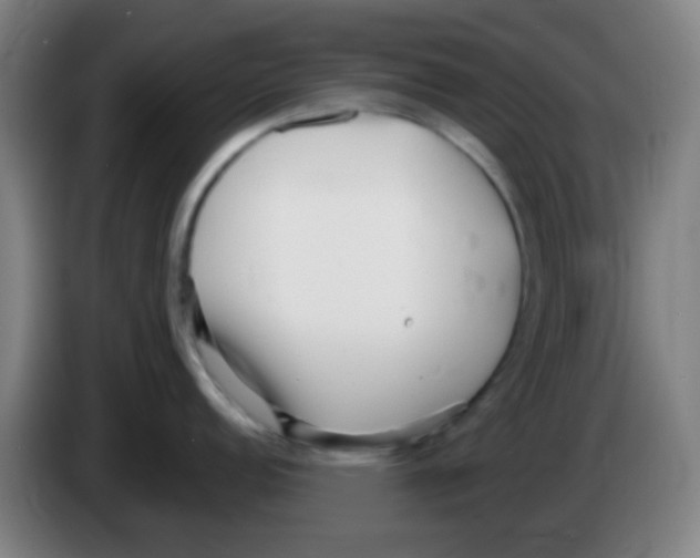 X0000086251152200704261931