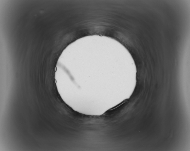 X0000086251153200704261930