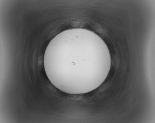 X0000086251154200704261930