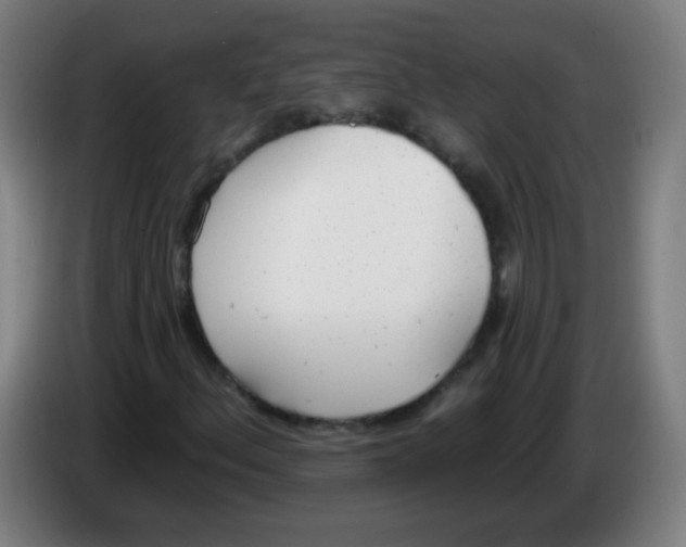 X0000086251156200704261930