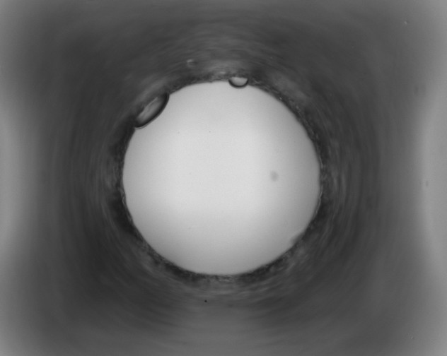 X0000086251158200704261930