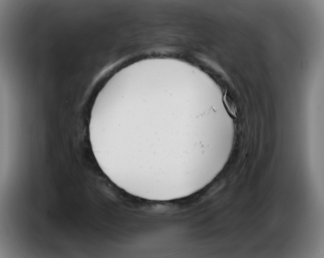 X0000086251160200704261930