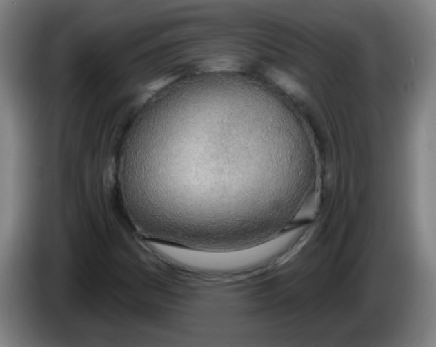 X0000086251161200704261930