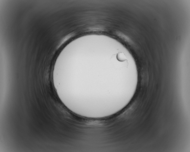 X0000086251162200704261930