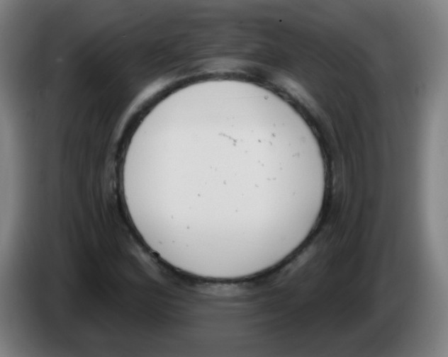 X0000086251164200704261930