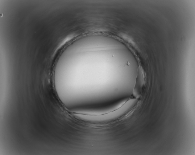 X0000086251165200704261930
