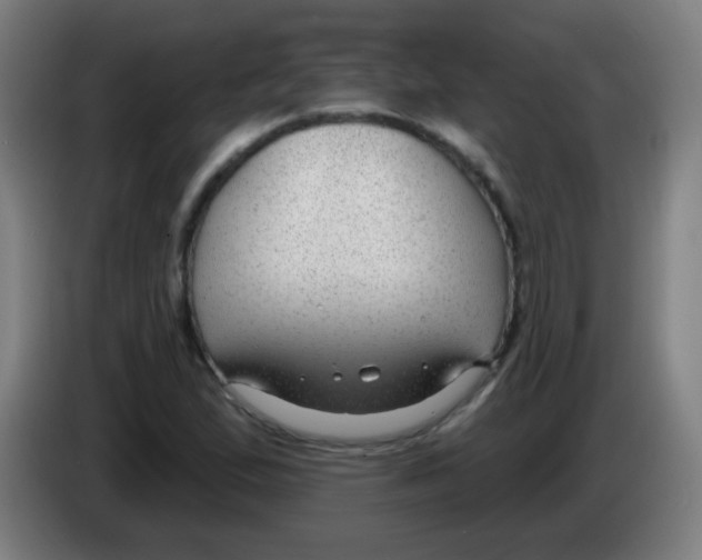 X0000086251167200704261930