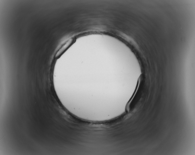 X0000086251168200704261930