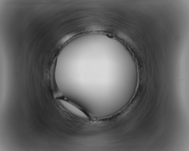 X0000086251169200704261930