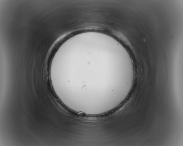X0000086251172200704261930
