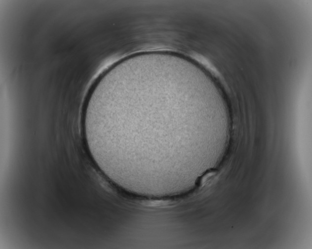 X0000086251173200704261930