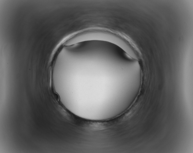 X0000086251175200704261930