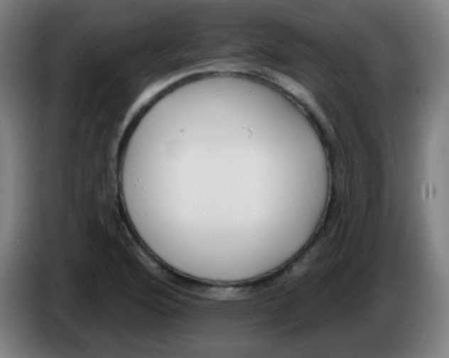 X0000086251176200704261930