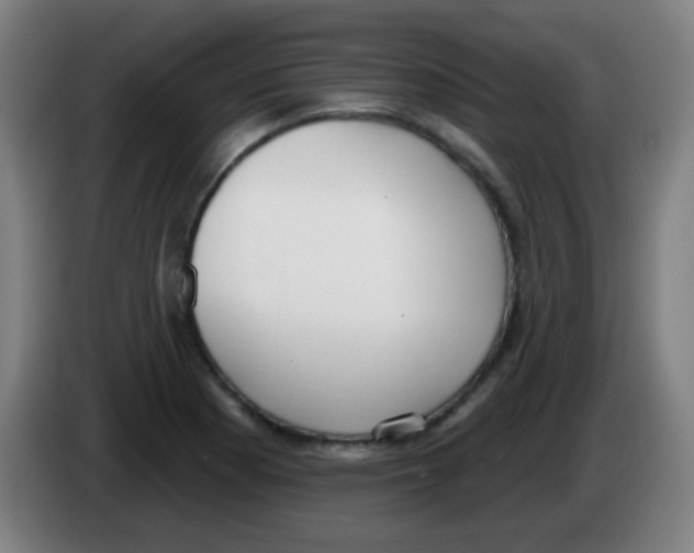 X0000086251177200704261930