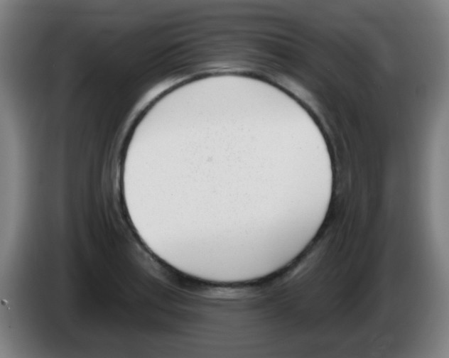 X0000086251179200704261930