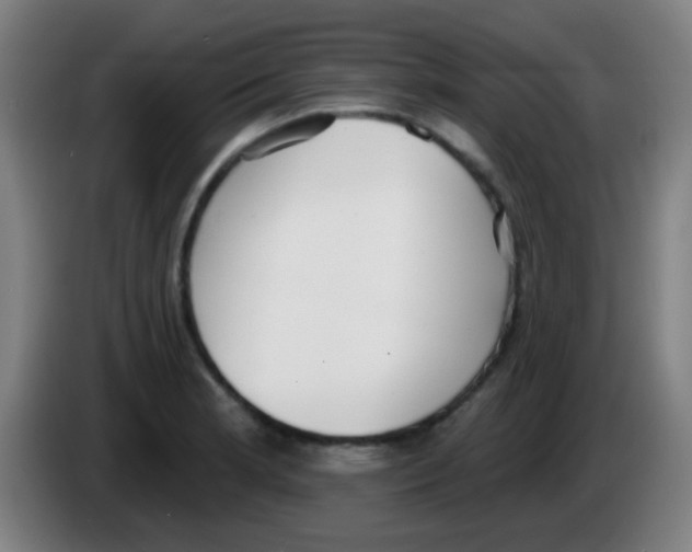 X0000086251181200704261930