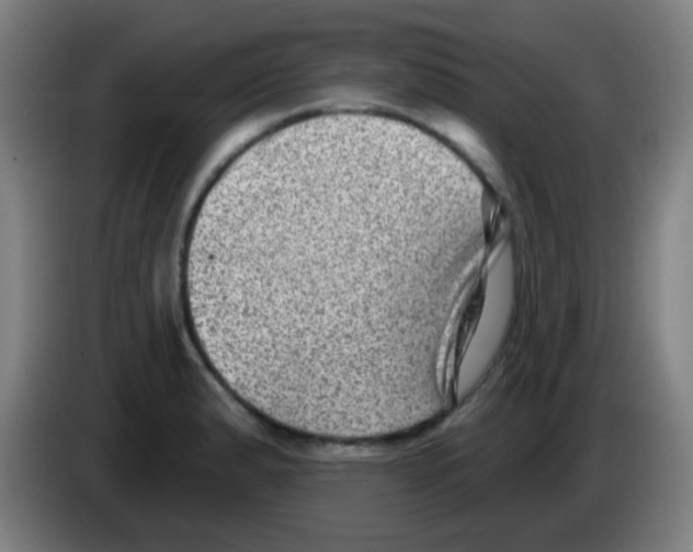 X0000086251183200704261930