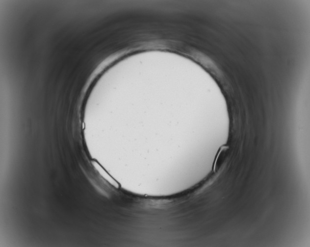 X0000086251184200704261930