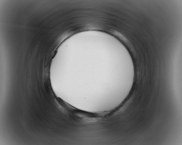 X0000086251185200704261930