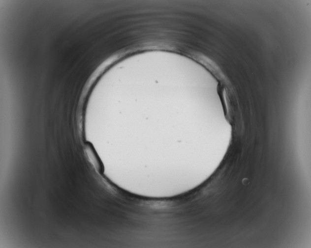 X0000086251188200704261930