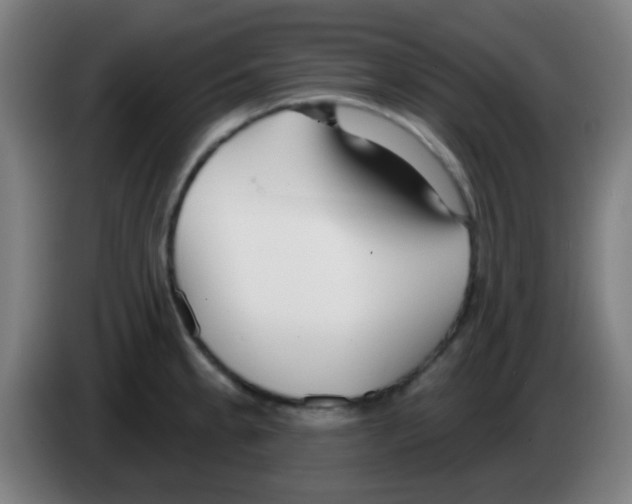 X0000086251189200704261930