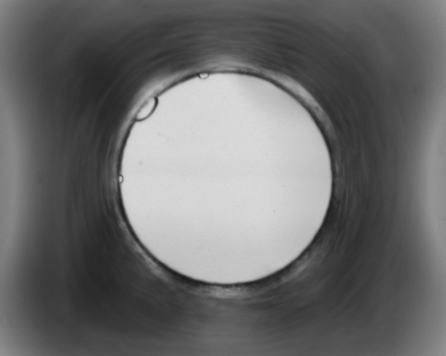X0000086251191200704261930