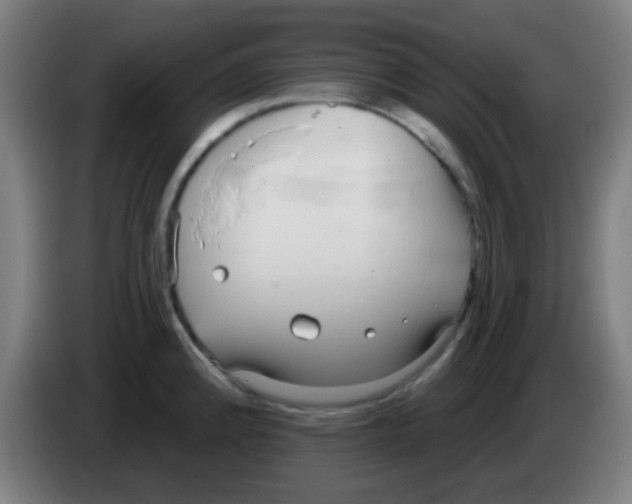 X0000086251192200704261930