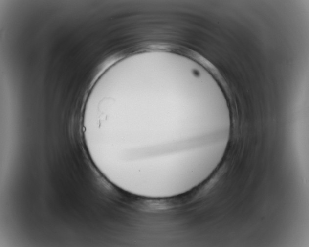 X0000086251194200704261930