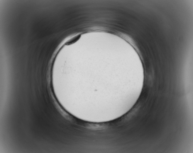 X0000086251195200704261930