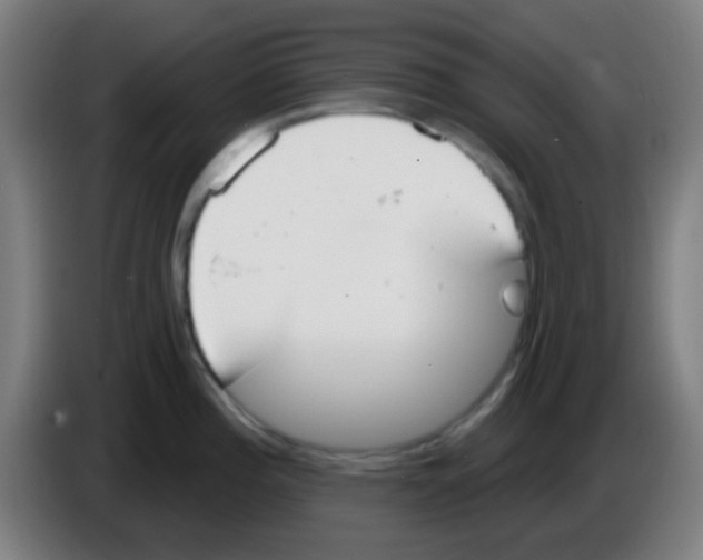 X0000086251196200704261930