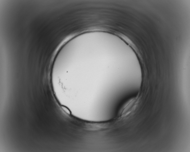 X0000086251197200704261930