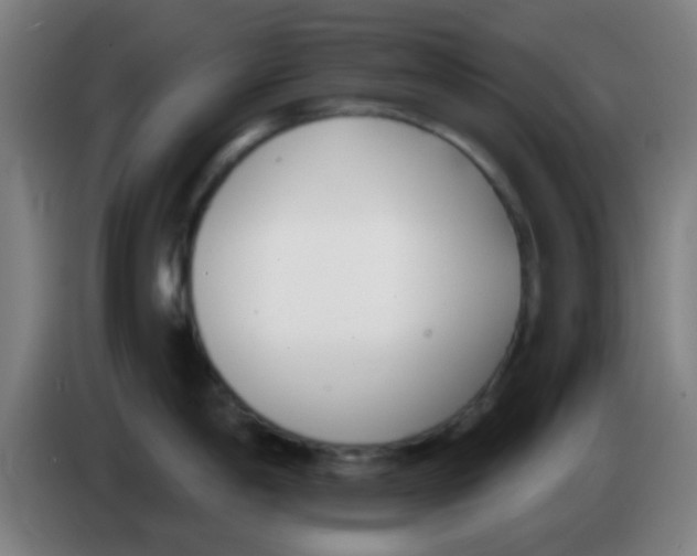 X0000086251198200704261930
