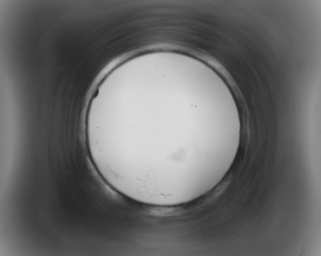 X0000086251199200704261929