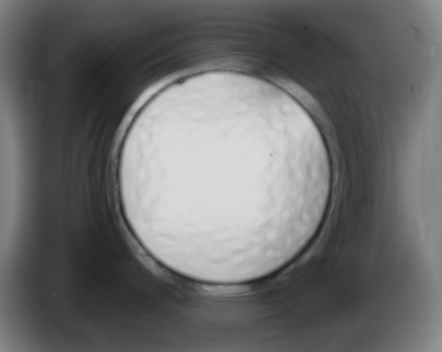 X0000086251200200704261929