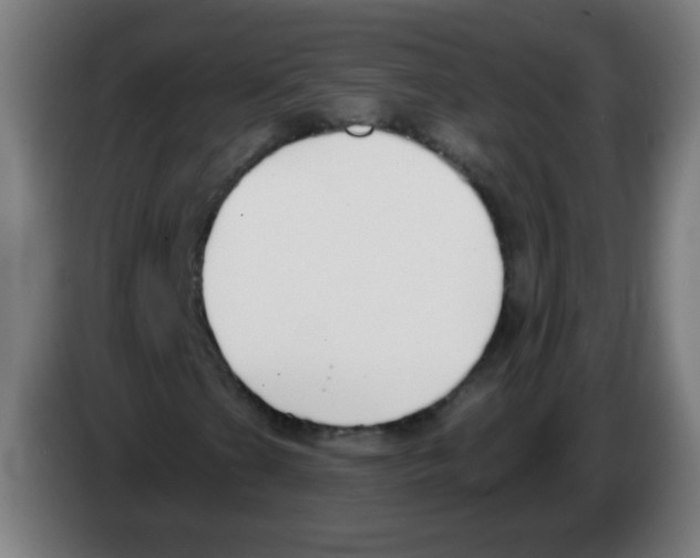 X0000086251201200704261929