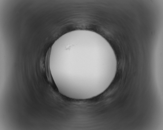 X0000086251202200704261929