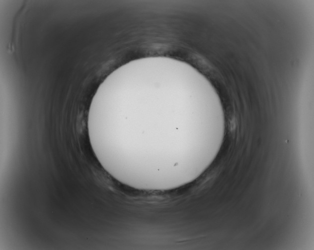 X0000086251204200704261929