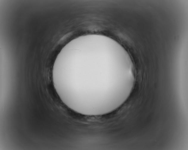 X0000086251205200704261929