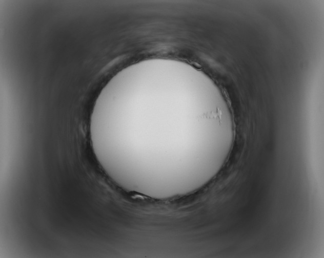 X0000086251206200704261929